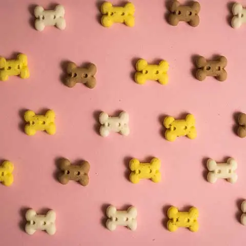 Miiaou.com - Animalerie en ligne : nourriture, accessoires - Miiaou