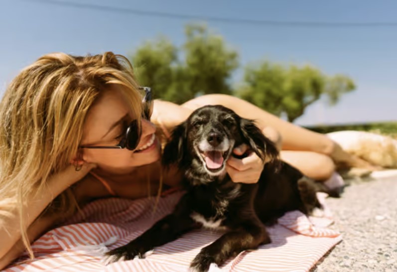 chien avec sa maitresse