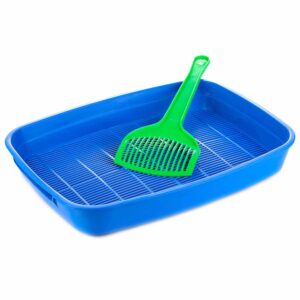 Miiaou.com - Animalerie en ligne : nourriture, accessoires - Miiaou